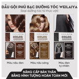 Dầu Gội Phủ Bạc Weilaiya Color Conditioner