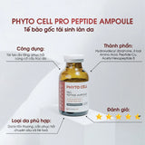 Kyunglab Phyto Cell Peptide Ampoule