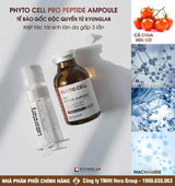 Kyunglab Phyto Cell Peptide Ampoule