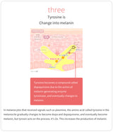 TRANSINO II – Daily Skin Support