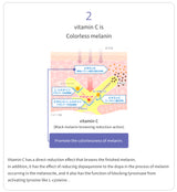 Transino White C Premium – New 2023 Formula