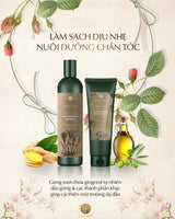 Bộ gội xả gừng tươi Weilaiya - Vt Glamour