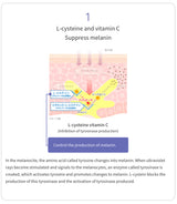 Transino White C Premium