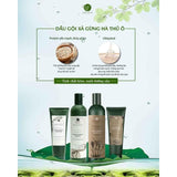 Bộ gội xả gừng tươi Weilaiya - Vt Glamour