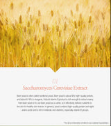 DAYCELL MEDI LAB Beer Fermentation Placenta Glutathione Peeling Body Wash 280ml - VT Glamour