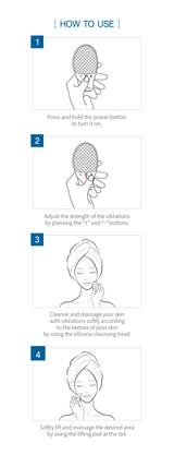 WellDerma Electric Silicone Cleansing Fish RV