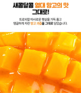 Jelly Sticks Nanocumin  Mango Flavor