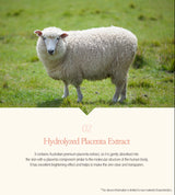 DAYCELL MEDI LAB Beer Fermentation Placenta Glutathione Peeling Body Wash 280ml - VT Glamour