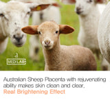 DAYCELL MEDILAB Whitening Placenta Cream Pack 290ml - VT Glamour