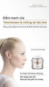 Kem Phục Hồi Tái Tạo Da Nấm Trắng Vento Vivere White Truffle Regeneration Cream Thụy Sĩ