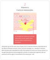 TRANSINO II – Daily Skin Support