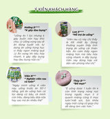 Viên Uống Rau Củ DHC Perfect Vegetable Premium Japanese Harvest