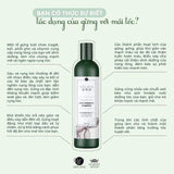 Bộ gội xả gừng tươi Weilaiya - Vt Glamour