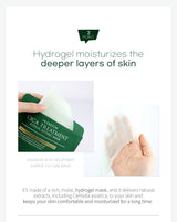 Premium Cica Treatment Repair Fitting Mask